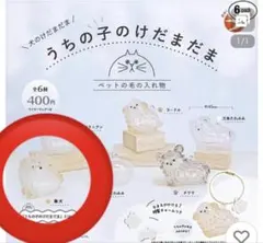 うちの子のけだまだま　犬のけだまだま　『柴犬』