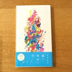嵐 ARASHI カイト CD ファンクラブ会員限定盤