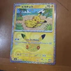 なんごくきぶんピカチュウ