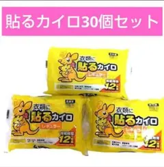 アイリスオーヤマ 貼るカイロ レギュラー 30個入のサムネイル