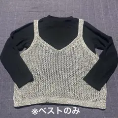 【美品】LEPSIM レプシィム テープヤーンベスト 透かし編みベスト