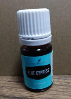 2026年最新】ヤングリヴィングの人気アイテム - メルカリ