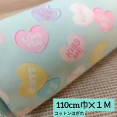 Item thumbnail for item cce4e332-b3bd-476c-93cf-32ee3b2302f3