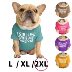 英字ロゴTシャツ　ブルー　2XL 　犬服　ドッグウェア　フレブル　パグ　夏服