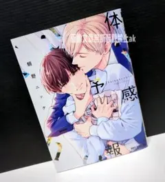 「体感予報」 鯛野ニッケ