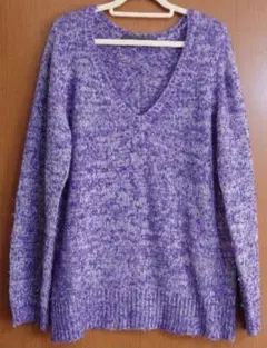 E hyphen world gallery Vネック ニット FREE 紫