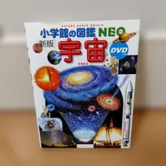 Item thumbnail for item 210ee53d-e1e6-422e-b67d-5fe6fe2e7ba2