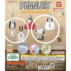 PEANUTS めじるしアクセサリー 4個