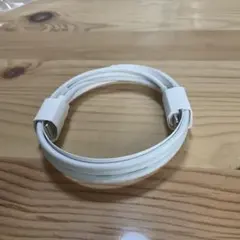 ホワイト Lightningケーブル USB-C 約1m