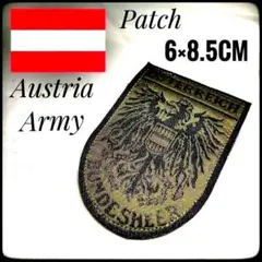 ✨新品未使用✨オーストリア軍★陸軍★部隊ワッペン★デッドストック★M-65★のサムネイル