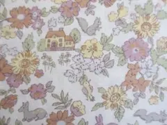 Item thumbnail for item 72acdae7-7f4c-4196-9d90-9ee75f43b175