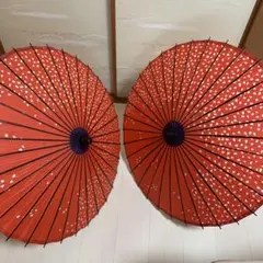 舞踊傘 赤色 桜吹雪　2本セット　蛇の目傘　日本舞踊　踊り　和傘　収納袋付き