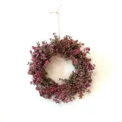 訳ありエリカフレッシュリース