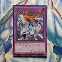 2026年最新】究極竜魔導師の人気アイテム - メルカリ