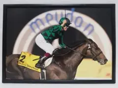 競馬 ジャスタウェイ パネル JAPAN SPIRIT