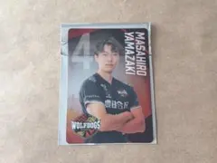 ウルフドッグス名古屋 市川健太選手 トレーディングカード - メルカリ