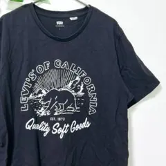 リーバイス 熊柄 Tシャツ 丸首 半袖 L 黒 綿100% アメカジ 普段着