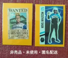 水谷瞬 日本ハムファイターズ　ONE PIECE 手配書ステッカー　おまけ付き