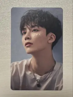 ジョンハン　トレカ　舞い落ちる花びら