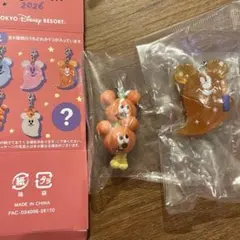 ディズニーハロウィン　チャーム