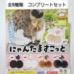 にゃんたますこっと 全5種 セット フルコンプ ガチャ　新品　キーホルダー