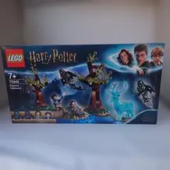 ひかり様 リクエスト 2点 まとめ商品