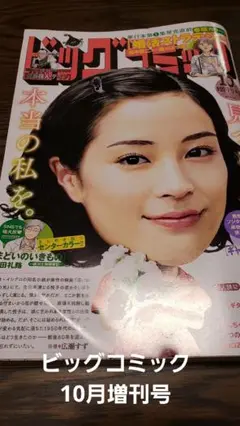 ビッグコミック増刊号 漫画 雑誌