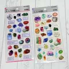 大人の図鑑シール 3D 立体 好物編 ボンボンドロップシール うるちゅる