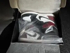 NIKE Air Jordan 1 BLACK TOE ミニチュア
