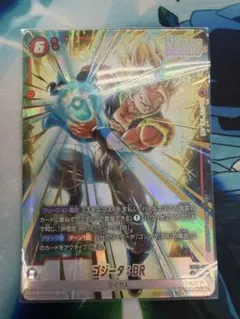 $レイシオン $様 リクエスト 4点 まとめ商品