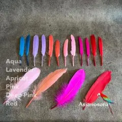 Item thumbnail for item f16ef774-1d44-4708-89ad-990bf76bf41c