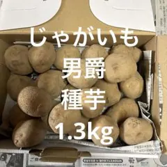 nah様 リクエスト 3点 まとめ商品