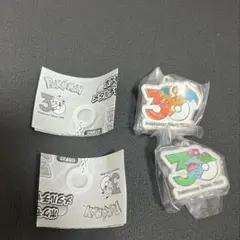 ポケモン30周年　メタルチャームマスコット　めじるしアクセサリー