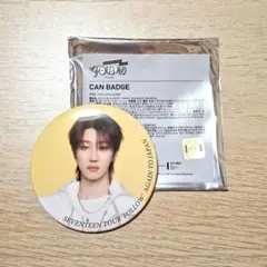 SEVENTEEN FOLLOW AGAIN 缶バッジ THE8