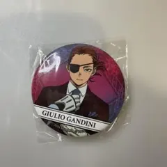 2025年最新】バッジ ジュリオの人気アイテム - メルカリ