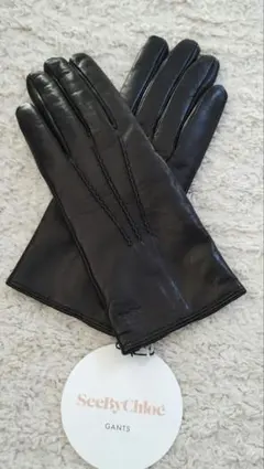 Item thumbnail for item 77f129cf-15b8-462b-aaf6-eaa8b769d138