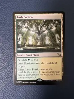 MTG 草萌ゆる玄関Lush Portico 英語　諜報ランドのサムネイル