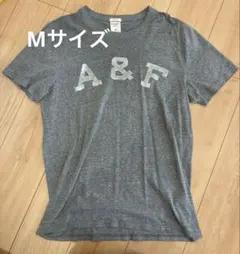 Abercrombie & Fitch グレー Tシャツ M