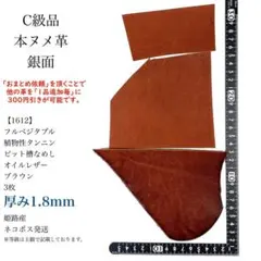 Item thumbnail for item 82ffdc0d-5579-409f-b6a3-a7f80bceea49