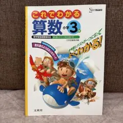 【3年生】これでわかる算数小学3年　参考書　テスト　問題集