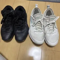 Item thumbnail for item d0dd1964-4c4b-4e14-8b9d-f8c7e26da021