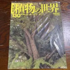 週刊 朝日百科 植物の世界130 イチョウ ソテツ ザミア