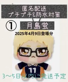 【月島蛍】 ハイキュー!! ちょぴぬいぷち ①