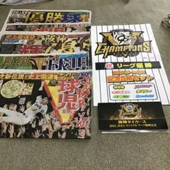 最終値下げ 阪神タイガース 優勝記念 阪神電車入場券＆スポーツ新聞5紙セット