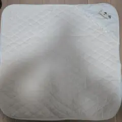 Item thumbnail for item 53fa31d6-2e60-46f8-9741-e84065b24562