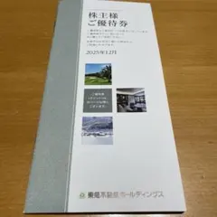 【最新版】東急不動産ホールディングス株主優待券【500～1000株未満】
