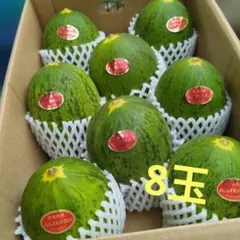 産地直送！甘いパパイヤメロン❗️甘くて美味しい❗️5玉入り！箱込み5