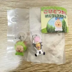 こびとづかん めじるしマスコット ガチャ シボリオオチチ、スモモノウチ