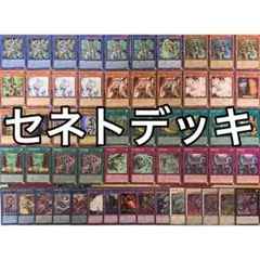 セネト デッキ 遊戯王 Zenet deck a