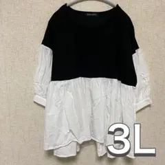 大きいサイズ　3L ゴールドジャパン　カジュアルトップス 黒・白